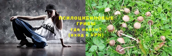 соль ск Володарск