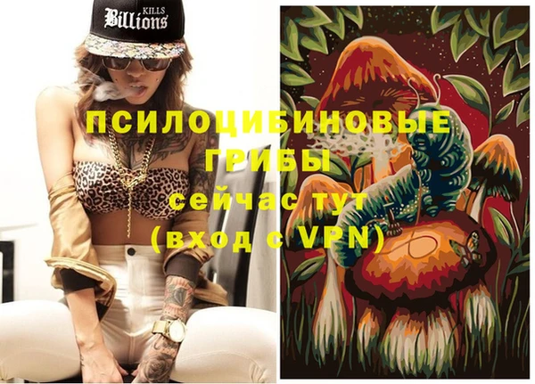 соль ск Володарск