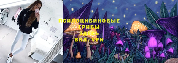 соль ск Володарск