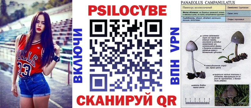 Псилоцибиновые грибы Cubensis  Купить  Лаишево 